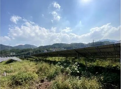 太阳能组件级监控系统帮助太阳能发电厂提高能源效率